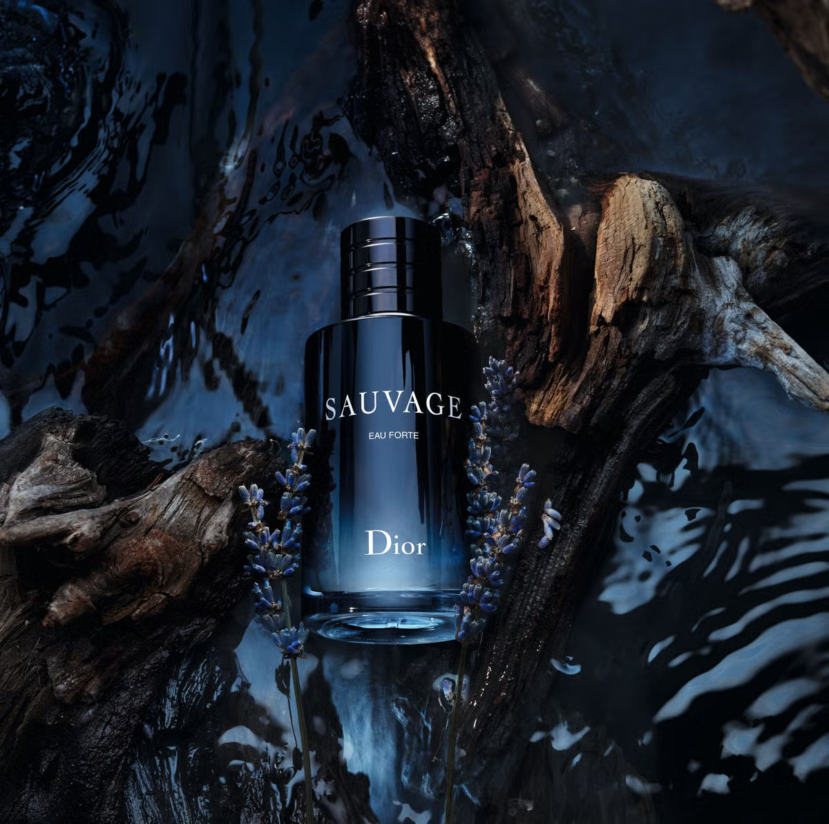 Dior Sauvage Eau De Parfum